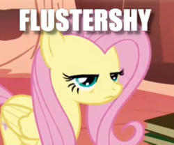 Size: 360x300 | Tagged: safe, edit, edited screencap, screencap, fluttershy, pegasus, pony, bridle gossip, g4, book, caption, cropped, female, flustered, flustershy, golden oaks library, image macro, impact font, mare, pun, solo, text, unamused