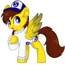 Size: 800x800 | Tagged: safe, artist:rainbow eevee, oc, oc only, oc:ponyseb, pegasus, pony, 2020 community collab, derpibooru community collaboration, clothes, cute, cutie mark, daaaaaaaaaaaw, hat, male, open mouth, pegasus oc, simple background, snapback, solo, spread wings, sweater, transparent background, vector, wings