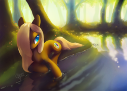 Size: 1260x900 | Tagged: safe, artist:dawnfire, oc, oc only, earth pony, pony, river, solo