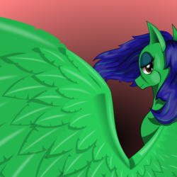 Size: 800x800 | Tagged: safe, artist:auroraswirls, oc, oc only, oc:cottonwood, pegasus, pony, bedroom eyes, female, gradient background, looking back, mare, pegasus oc, solo, spread wings, wings