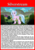 Size: 1653x2339 | Tagged: safe, gallus, silverstream, hippogriff, g4, my little pony: friendship is magic, the last problem, card, female, future, ship:gallstream, shipping, solo, straight