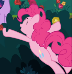 Size: 488x504 | Tagged: safe, screencap, pinkie pie, earth pony, pony, g4, the mean 6, balloonbutt, bush, butt, cropped, eyes closed, female, flower, lying down, mare, offscreen character, open mouth, plot, rose, smiling, solo focus