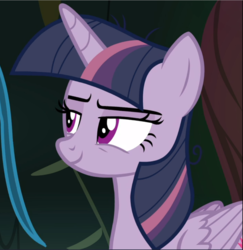 Size: 915x940 | Tagged: safe, screencap, mean twilight sparkle, pony, g4, the mean 6, cropped, female, narrowed eyes, smiling, smirk, solo