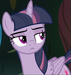 Size: 889x939 | Tagged: safe, screencap, mean twilight sparkle, pony, g4, the mean 6, cropped, disinterested, female, lidded eyes, solo