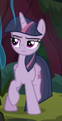 Size: 263x514 | Tagged: safe, screencap, mean twilight sparkle, pony, g4, the mean 6, cropped, female, lidded eyes, raised hoof, solo