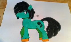 Size: 1200x716 | Tagged: safe, artist:lucas_gaxiola, oc, oc only, earth pony, pony, earth pony oc, hair over one eye, irl, photo, signature, smiling, solo, traditional art, unshorn fetlocks