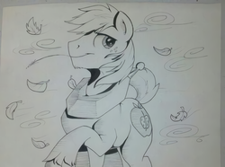 Size: 960x716 | Tagged: safe, artist:lucas_gaxiola, big macintosh, earth pony, pony, g4, bust, freckles, horse collar, irl, leaves, lineart, male, monochrome, photo, raised hoof, solo, stallion, straw in mouth, traditional art, unshorn fetlocks, windswept mane