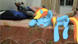 Size: 714x401 | Tagged: safe, artist:mojing, oc, oc:dusking sky, oc:littlepip, alicorn, pony, fallout equestria, bed, broken horn, horn, irl, photo, photoshop, plushie, ponies in real life