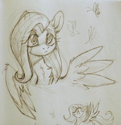Size: 997x1024 | Tagged: safe, artist:ls_skylight, fluttershy, butterfly, pegasus, pony, g4, female, solo, traditional art
