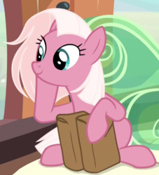 Size: 1212x1333 | Tagged: safe, screencap, fuchsia frost, earth pony, pony, g4, the last problem, background pony, bag, cropped, cute, female, friendship student, mare, sitting, smiling