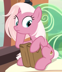 Size: 1150x1328 | Tagged: safe, screencap, fuchsia frost, earth pony, pony, g4, the last problem, aside glance, background pony, bag, cropped, female, friendship student, mare, sitting