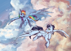 Size: 3500x2500 | Tagged: safe, artist:tired_dog, rainbow dash, soarin', bird, pegasus, pony, seagull, g4, cloud, cloudy, female, flying, high res, male, ship:soarindash, shipping, straight