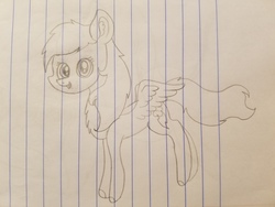 Size: 4032x3024 | Tagged: safe, artist:asiandra dash, rainbow dash, pegasus, pony, g4, chest fluff, cute, daaaaaaaaaaaw, ear fluff, female, lined paper, looking at you, open mouth, pencil drawing, solo, spread wings, traditional art, wings