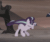 Size: 570x480 | Tagged: safe, screencap, starlight glimmer, twilight sparkle, alicorn, pony, unicorn, g4, the cutie re-mark, alternate timeline, angry, animated, ashlands timeline, barren, cropped, duo, female, gif, implied genocide, jumping, post-apocalyptic, s5 starlight, twilight sparkle (alicorn), wasteland, windswept mane