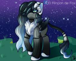 Size: 1000x800 | Tagged: safe, artist:thedamneddarklyfox, oc, oc only, kelpie, pony, chest fluff, ear fluff, long mane, looking at you, solo, stars, wings