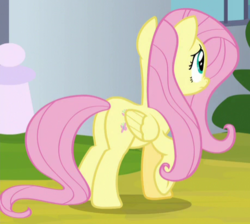 Size: 459x411 | Tagged: safe, screencap, fluttershy, pegasus, pony, between dark and dawn, g4, butt, cropped, female, flutterbutt, folded wings, mare, plot, rear view, solo, wings
