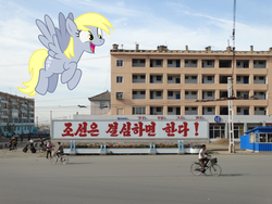 Size: 672x504 | Tagged: safe, edit, derpy hooves, pony, g4, haeju, irl, north korea, photo, ponies in real life, this will end in death, this will end in tears, this will end in tears and/or death