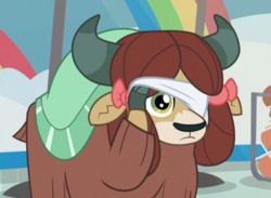 Size: 706x517 | Tagged: safe, screencap, yona, yak, 2 4 6 greaaat, g4, blindfold, bow, cloven hooves, cropped, cute, female, hair bow, monkey swings, solo, yonadorable