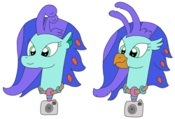 Size: 3108x2119 | Tagged: safe, artist:supahdonarudo, oc, oc only, oc:sea lilly, classical hippogriff, hippogriff, seapony (g4), bust, camera, head, high res, jewelry, necklace, simple background, transparent background