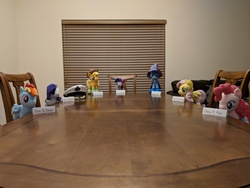 Size: 4032x3024 | Tagged: safe, artist:pony professor, applejack, fluttershy, pinkie pie, rainbow dash, rarity, trixie, twilight sparkle, alicorn, pony, g4, blinds, chair, clothes, hat, irl, name, name tag, photo, plushie, socks, striped socks, table, twilight sparkle (alicorn), window