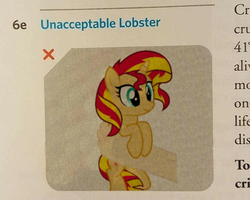Size: 720x576 | Tagged: safe, artist:justisanimation, artist:uigsyvigvusy, sunset shimmer, human, lobster, pony, unicorn, g4, caption, context is for the weak, cute, female, hand, holding a pony, illustration, mare, meme, shimmerbetes, smiling, smol, solo focus, text, unacceptable, wat