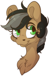 Size: 2452x3786 | Tagged: safe, artist:cutepencilcase, oc, oc only, oc:artsong, pony, bust, commission, high res, portrait, simple background, solo, transparent background