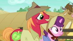 Size: 1280x720 | Tagged: safe, screencap, bessie, big macintosh, sugar belle, cow, earth pony, pony, unicorn, g4, hard to say anything, clothes, female, hat, male, mare, shirt, stallion