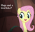 Size: 792x720 | Tagged: safe, edit, edited screencap, editor:korora, screencap, fluttershy, pony, g4, my little pony: friendship is magic, sounds of silence, bronybait, cropped, cute, dialogue, hug request, meme, shyabetes