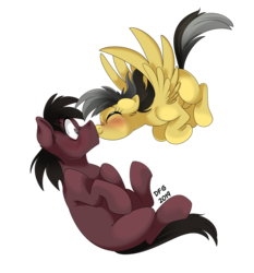 Size: 1280x1375 | Tagged: safe, artist:dragonfoxgirl, daring do, oc, oc:phillip finder, earth pony, pegasus, pony, g4, blushing, canon x oc, female, flying, kissing, male, missing accessory, missing cutie mark, phiring, shipping, straight, surprised