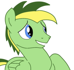 Size: 600x562 | Tagged: safe, artist:didgereethebrony, oc, oc only, oc:didgeree, pegasus, pony, blue eyes, reupload, solo, updated, updated design