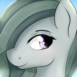 Size: 1000x1000 | Tagged: safe, artist:dashy21, marble pie, earth pony, pony, g4, bust, cute, female, mare, portrait, smiling, solo
