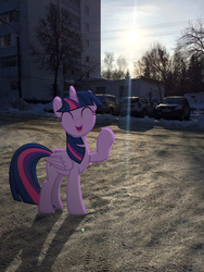 Size: 2448x3264 | Tagged: safe, artist:albertuha, twilight sparkle, alicorn, pony, g4, cyrillic, female, high res, irl, mare, photo, ponies in real life, raised hoof, russia, russian, smiling, snow, solo, twilight sparkle (alicorn), winter