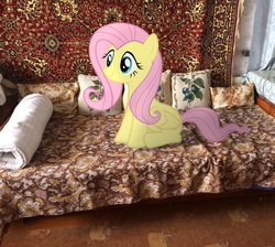 Size: 2736x2448 | Tagged: safe, artist:albertuha, fluttershy, pegasus, pony, g4, carpet, couch, cute, female, high res, irl, mare, photo, ponies in real life, shyabetes, smiling, solo