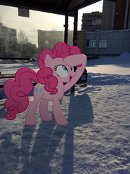Size: 2448x3264 | Tagged: safe, artist:albertuha, pinkie pie, earth pony, pony, g4, bus stop, derp, female, high res, irl, mare, photo, ponies in real life, raised hoof, russia, smiling, snow, solo, winter