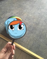 Size: 1721x2160 | Tagged: safe, artist:umgaris, rainbow dash, human, pegasus, pony, g4, hand, irl, magnifying glass, meme, no iris, offscreen character, photo, ponies in real life, ponified, ponified animal photo, solo