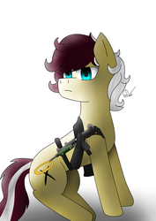 Size: 2800x3959 | Tagged: safe, oc, oc only, pony, high res, solo