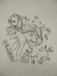 Size: 2449x3266 | Tagged: dead source, safe, artist:云观雾里, angel bunny, fluttershy, pegasus, pony, rabbit, g4, female, high res, mare, monochrome, traditional art
