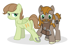 Size: 1024x680 | Tagged: safe, artist:icaron, oc, oc only, oc:saga, earth pony, pegasus, pony, facial hair, farrier, female, horseshoes, male, moustache, show accurate, vector