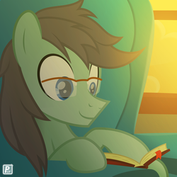 Size: 3646x3646 | Tagged: safe, oc, oc only, oc:paradox, pony, book, chair, evening, glasses, high res, solo, window