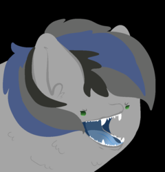 Size: 940x980 | Tagged: safe, artist:nootaz, oc, oc only, oc:nightglider, bat pony, pony, angry, black background, fangs, female, open mouth, ponified animal photo, sharp teeth, simple background, solo, teeth