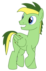 Size: 729x1125 | Tagged: safe, artist:didgereethebrony, oc, oc only, oc:didgeree, pegasus, pony, male, reupload, solo, stallion, updated, updated design