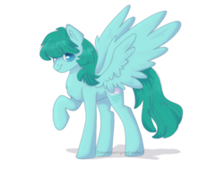 Size: 1024x768 | Tagged: dead source, safe, artist:pigeorgien, spring melody, sprinkle medley, pegasus, pony, g4, chest fluff, colored pupils, ear fluff, female, large wings, lightly watermarked, mare, raised hoof, simple background, smiling, solo, spread wings, standing, watermark, white background, wings