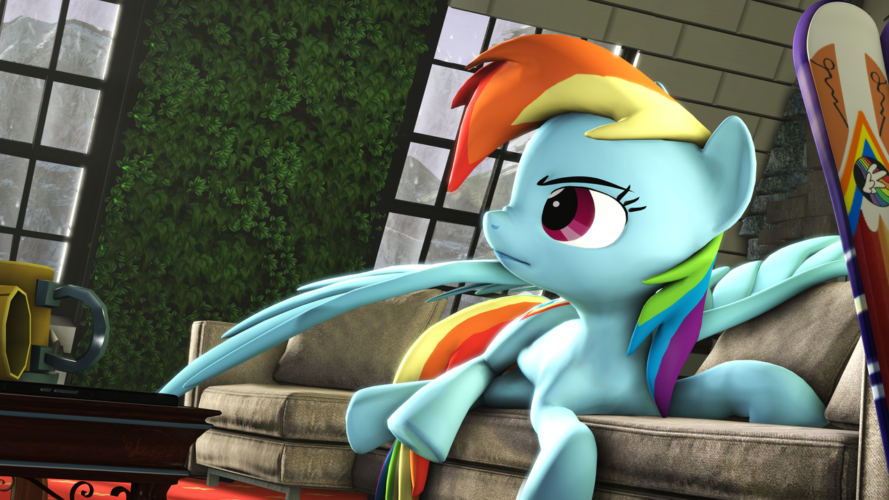 Фото rainbow dash