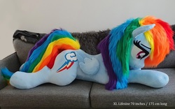 Size: 1412x880 | Tagged: safe, artist:epicrainbowcrafts, rainbow dash, pegasus, pony, g4, bedroom eyes, couch, female, folded wings, irl, lidded eyes, life size, mare, photo, plushie, prone, wings