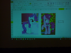 Size: 3648x2736 | Tagged: safe, rarity, sugar belle, pony, unicorn, g4, excel, harmonycon 2019, high res, irl, lidded eyes, microsoft excel, panel, photo, shipping fuel