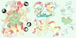 Size: 1280x640 | Tagged: safe, artist:altruisticartistry, oc, oc only, oc:clickbait, pegasus, pony, bangs, bun, clothes, fluffy, hairclip, pencil, reference sheet, sweater, text