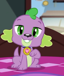 Size: 451x532 | Tagged: safe, screencap, spike, spike the regular dog, dog, equestria girls, g4, my little pony equestria girls: better together, reboxing with spike!, collar, cute, male, paws, spikabetes, spike's dog collar, tail