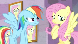 Size: 1280x720 | Tagged: safe, screencap, fluttershy, rainbow dash, pegasus, pony, g4, interseason shorts, teacher of the month (episode), duo