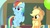 Size: 1280x720 | Tagged: safe, screencap, applejack, rainbow dash, earth pony, pegasus, pony, g4, interseason shorts, teacher of the month (episode), chalkboard