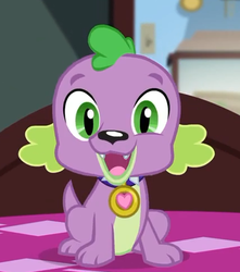 Size: 428x484 | Tagged: safe, screencap, spike, spike the regular dog, dog, equestria girls, g4, my little pony equestria girls: better together, reboxing with spike!, collar, cropped, cute, looking at you, paws, smiling, spikabetes, spike's dog collar, tail